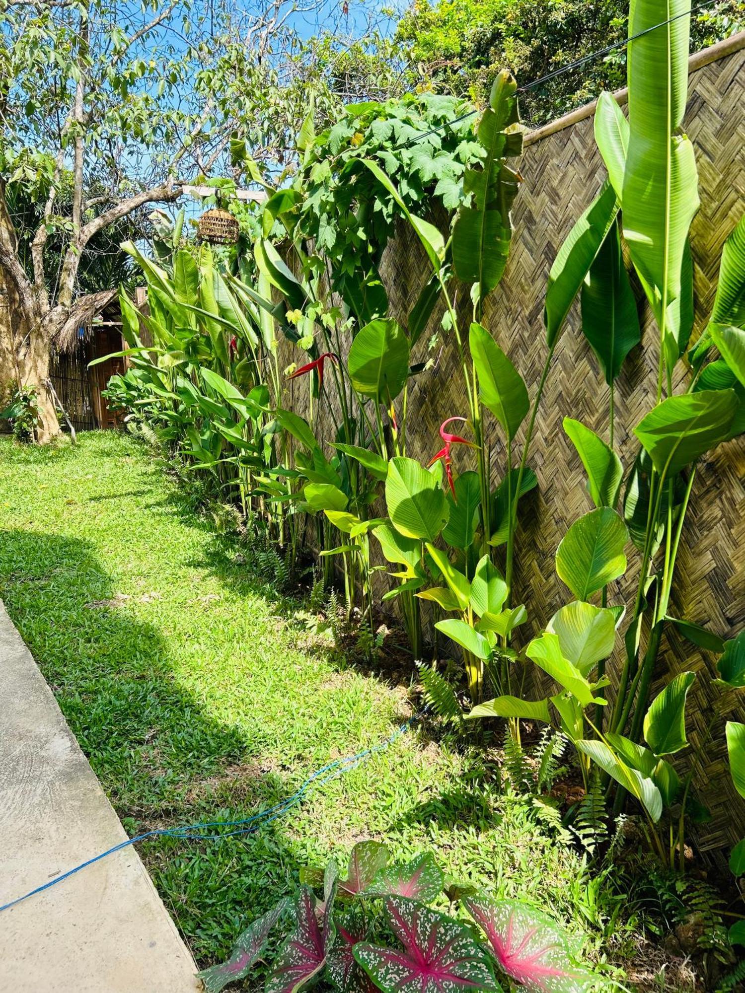 Lolas Villa El Nido Exteriör bild